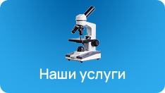 Услуги